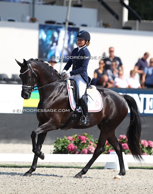 Anne Troensegaard and Delizia at the 2018 World Young Horse Championships :: Photo © Astrid Appels