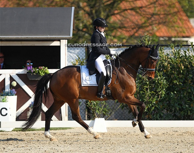 Hanna Rosendal on Beau-Amor at the 2019 CDI Sint-Truiden :: Photo © Astrid Appels