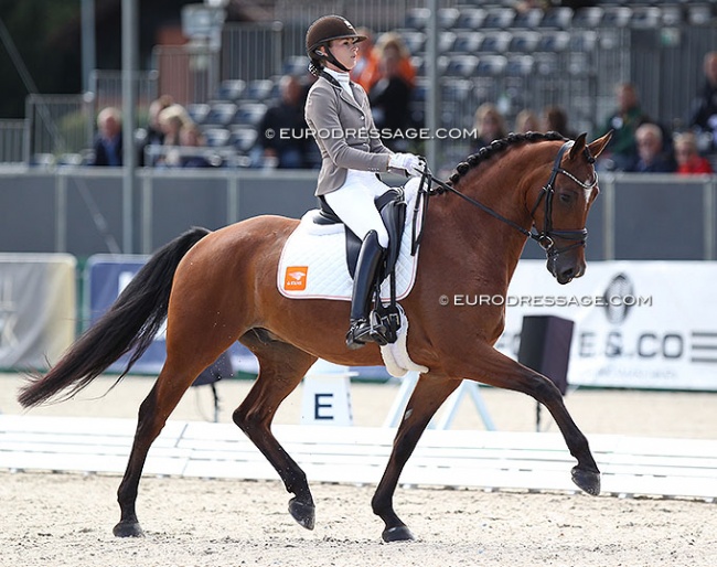 Dinja van Liere and Leonidas at the 2021 World Young Horse Championships :: Photo © Astrid Appels