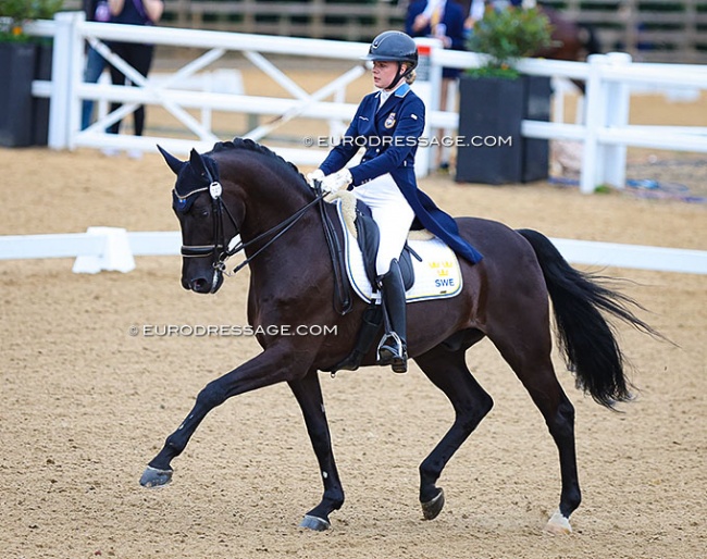 Blanca Bosson and Cardon M at the 2022 European Young Riders Championships in Hartpury :: Photo © Astrid Appels