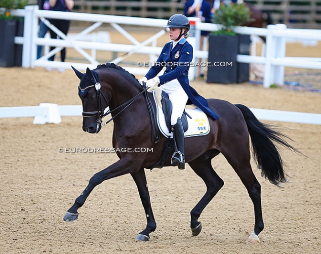Blanca Bosson and Cardon M at the 2022 European Young Riders Championships in Hartpury :: Photo © Astrid Appels