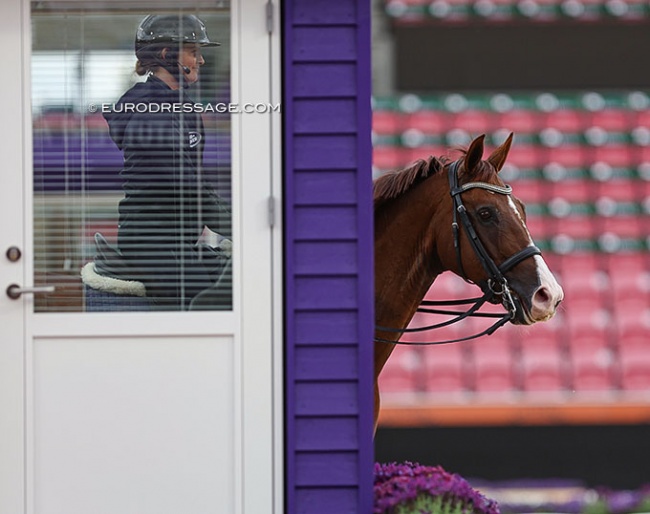 Windermere J'Obei at the 2022 World Championships in Herning (DEN) :: Photo © Astrid Appels