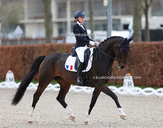 French Paola Callet on Quickly des Paluds at the 2023 CDI Aachen Festiva 4 Dressage :: Photo © Astrid Appels