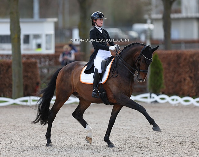 Yasmin Westerink and Dibert L at the 2023 Aachen Festival 4 Dressage :: Photo © Astrid Appels