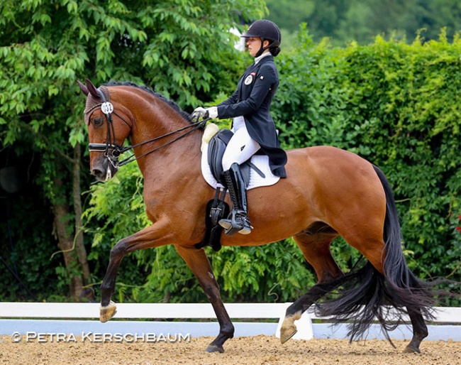 Fiona Spranz on Santiago at the 2023 CDI Achleiten :: Photo © Petra Kerschbaum