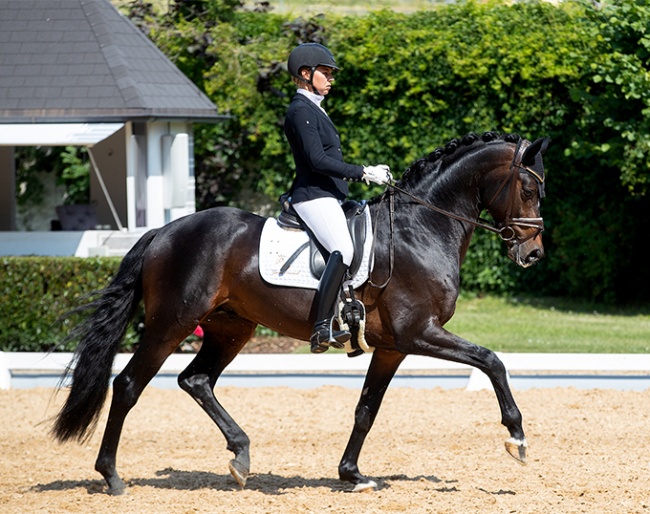 Laura Strobel and the 5-year old Imperial MT at the 2023 CDI Achleiten :: Photo © CDI Achleiten