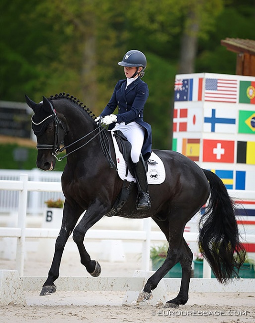 Irish junior rider Sophia Doheny on Batiqar, a horse they discovered for sale in the Eurodressage Equimarket and rode straight onto the Irish team :: Photo © Astrid Appels