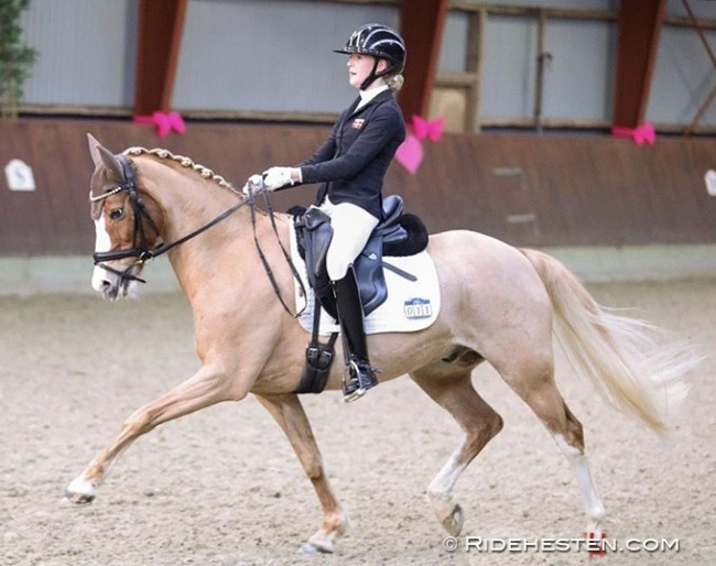 Maya Leisted Grønbech on Giotto N competing at a national show in Denmark in February 2023 :: Photo © Ridehesten