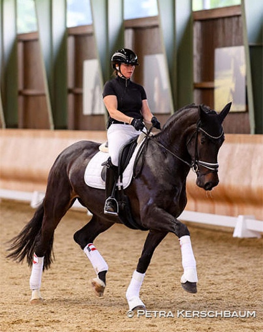 Kerstin Kronaus on Allegra at the first Austrian WCYH selection trial :: Photo © Petra Kerschbaum