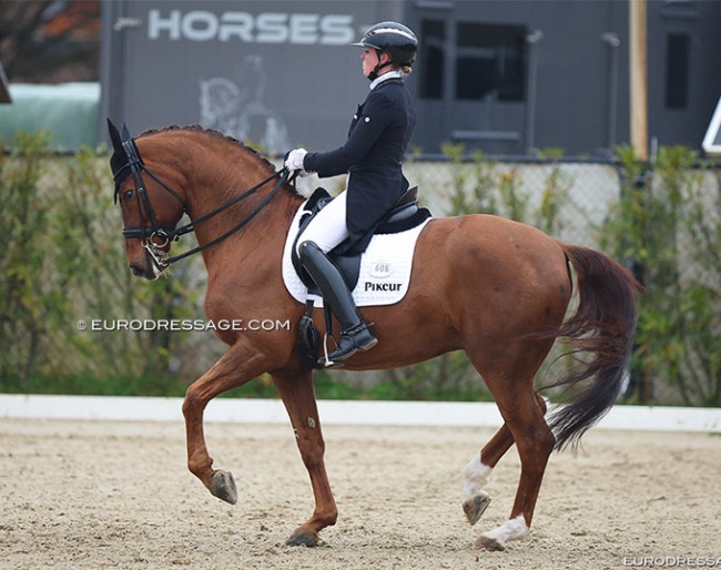 Katharina Hemmer and Denoix PCH at the 2023 CDI Sint-Truiden :: Photo © Astrid Appels