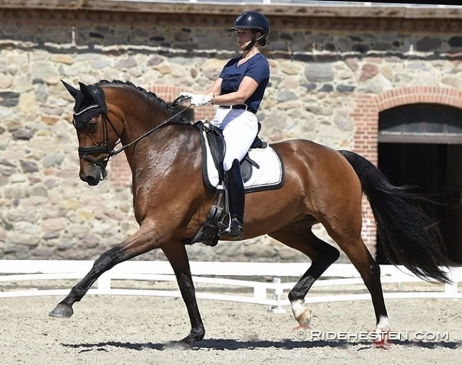 Majken Faaborg Glerup aboard Midt-West Franceska at the second Danish WCYH team selection trial :: Photo © Ridehesten