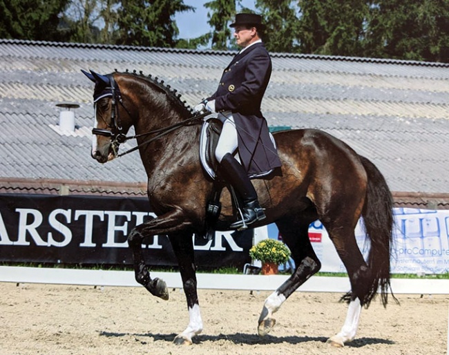 Peter Strasser on Deela Mae (by De Niro) which became an international FEI horse for Caroline Bonde and Mathilde Hannell