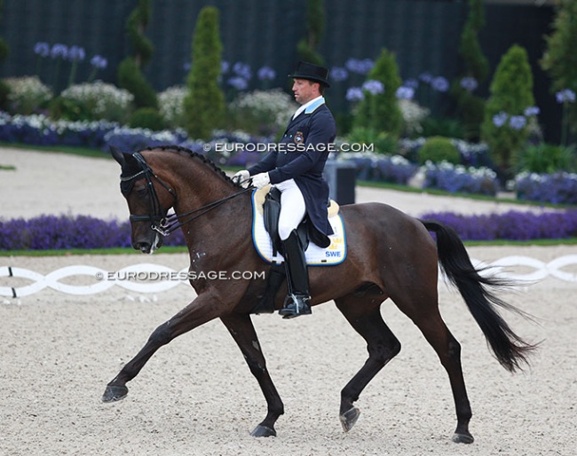 Kristian von Krusenstierna and Languedoc at the 2016 CDIO Aachen :: Photo © Astrid Appels