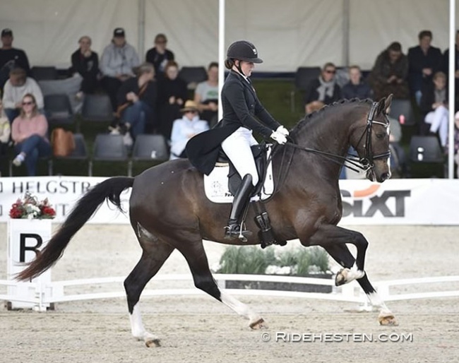 Underdog Nadja Aaboe Sloth and Favour Gersdorf are long listed for the Danish team, even though the pair was not competing in any of the major 4 and 5 competitions in the past few months. Sloth rode in the CDI Herning and Troisdorf :: Photo © Ridehesten
