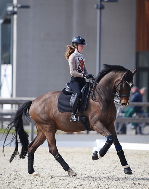 Yasmin Westerink and Dibert L at the 2022 CDI Opglabbeek :: Photo © Astrid Appels
