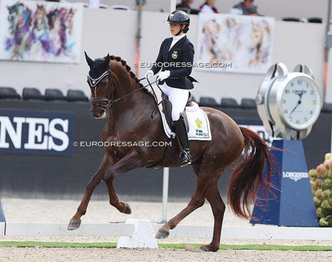 Linnea Holmgren on Buskhaga Ramayana at the 2022 World Young Horse Championships :: Photo © Astrid Appels