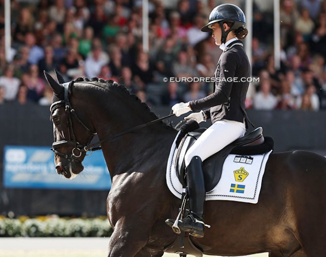 Moretti Weltino (SWB, by Dante Weltino x Master) at the 2022 World Young Horse Championships :: Photo © Astrid Appels