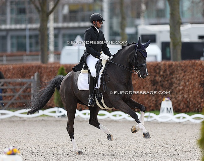 Hriday Chheda on Emerald at the 2023 CD Aachen Festival 4 Dressage :: Photo © Astrid Appels