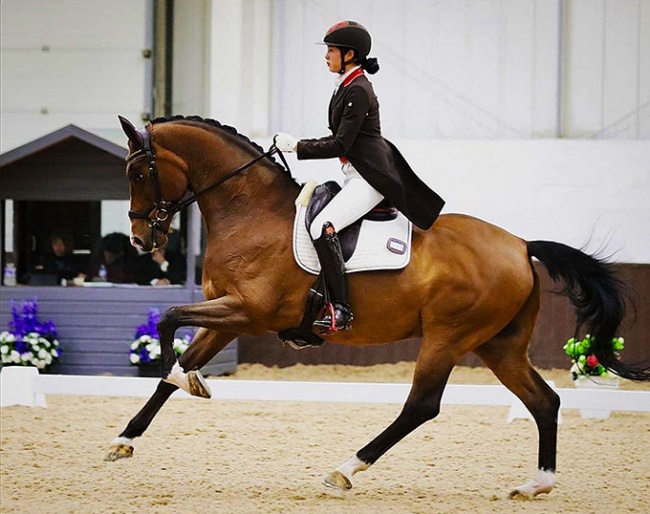 Sarah Rao and Geniaal at the 2023 CDI Addington :: Photo © Kevin Sparrow