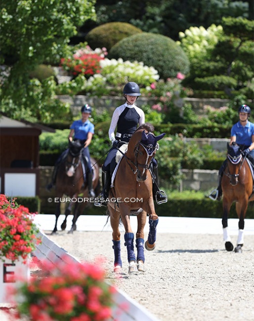 The Italian and Israeli junior riders familiarising their horses with the main competition arena :: Photo © Astrid Appels