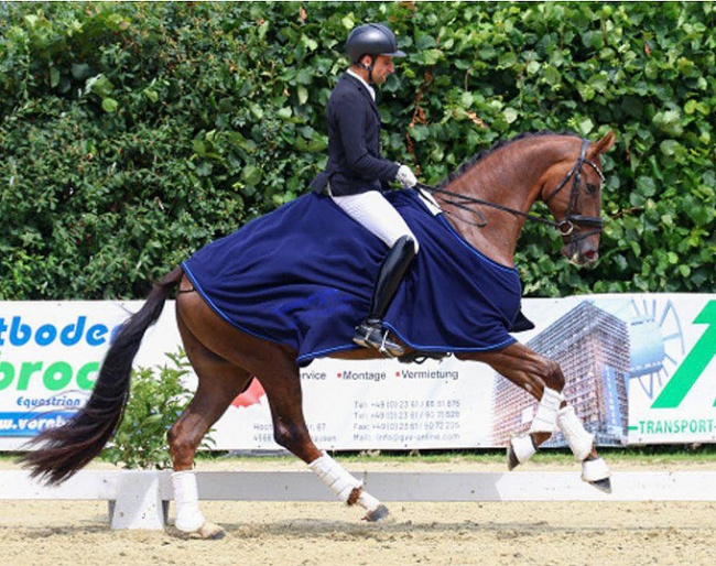 Timo Kolbe and Biden were a league of their own in the Bundeschampionate qualifier at the 2023 CDN Marl :: Photo ©  LL-foto.de 