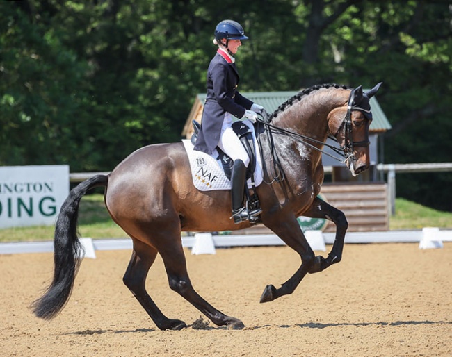 Laura Tomlinson riding Full Moon II in Fairfax at the 2023 CDI Wellington Heckfield