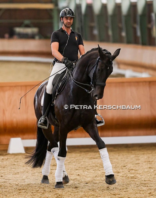 Martin Hauptmann and Aramis at the first selection trial in Oisnitz :: Photo © Petra Kerschbaum