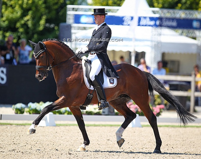 Lukas Fischer and First Ampere at the 2018 World Young Horse Championships in Ermelo :: Photo © Astrid Appels