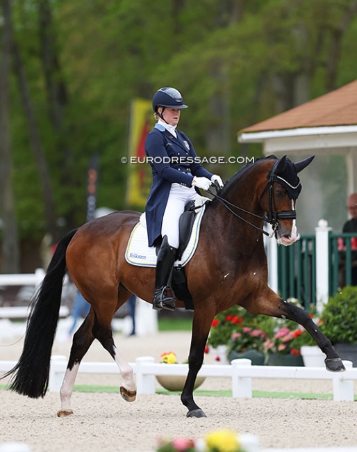 Malin Wahlkamp-Nilsson and Bergsjöholm's Valbonne at the 2023 CDIO Compiegne :: Photo © Astrid Appels