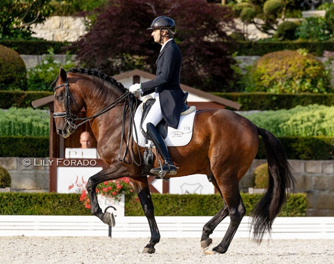 Alejandro Asencio Méndez with Gaviao Dos Cedros at the 2023 CDI Kronberg :: Photo © Lily Forado