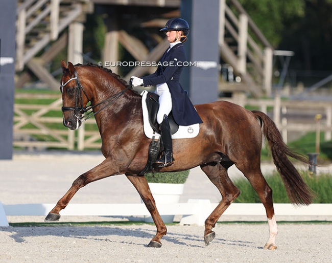 Devenda Dijkstra on Hero at the 2023 CDI Kronenberg, the last Dutch team observation trial for Riesenbeck :: Photo © Astrid Appels