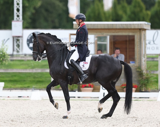 Andrew Gould and Indigro at last weekend's 2023 CDI Kronenberg in The Netherlands :: Photo © Astrid Appels