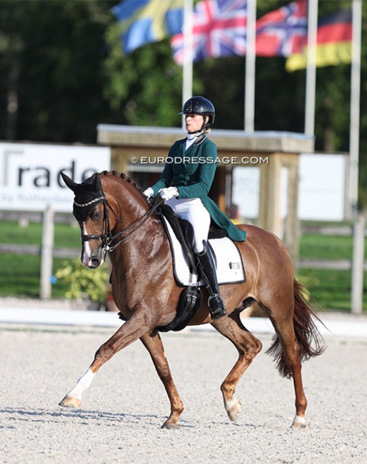 Dinja van Liere and Hartsuijker at the last Dutch team observation trial at CDI Kronenberg at the end of July :: Photo © Astrid Appels