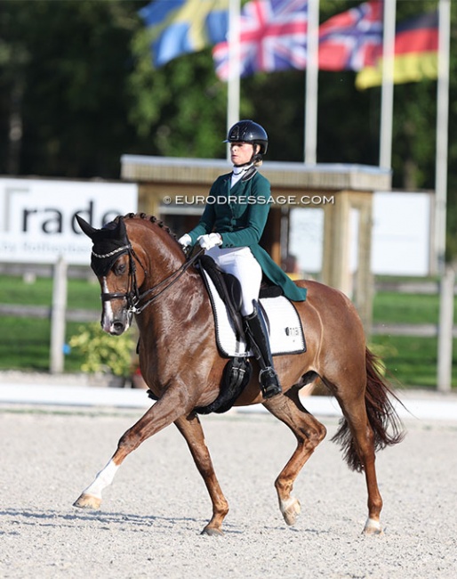 Dinja van Liere and Hartsuijker at the last Dutch team observation trial at CDI Kronenberg at the end of July :: Photo © Astrid Appels