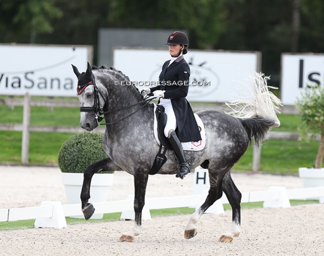 Thamar Zweistra and Hexagon's Ich Weiss at the 2023 CDI Kronenberg :: Photo © Astrid Appels
