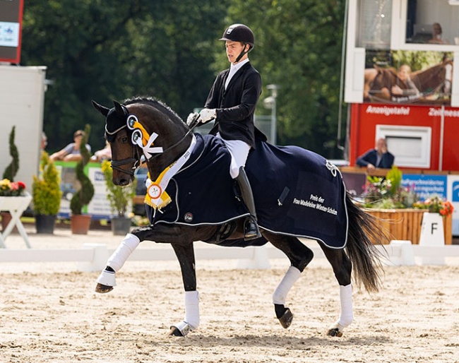Jacob Schenk on Global Hope at the 2023 Hanoverian young horse championships in Verden :: Photo © Hannoveraner Verband