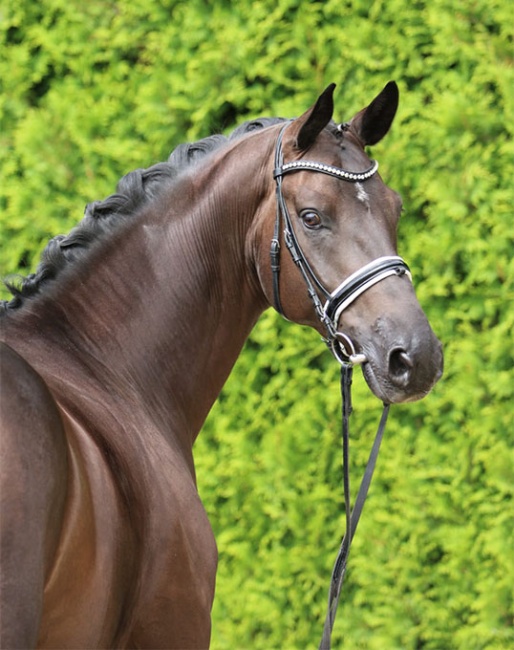 Ludwig van Ymas (by Lemony's Nicket x De Niro)