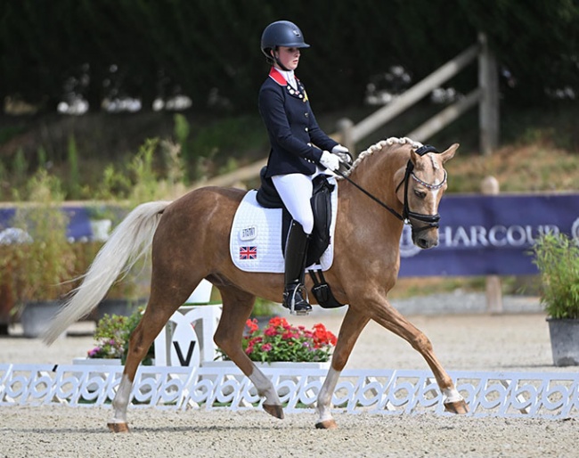 Amden Supreme Golden Dancer at the 2023 European Pony Championships in Le Mans