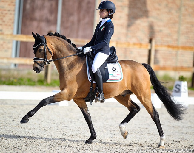 Virginia Sponle and Coer Noble at the 2021 CDI Grote Brogel :: Photo © Astrid Appels