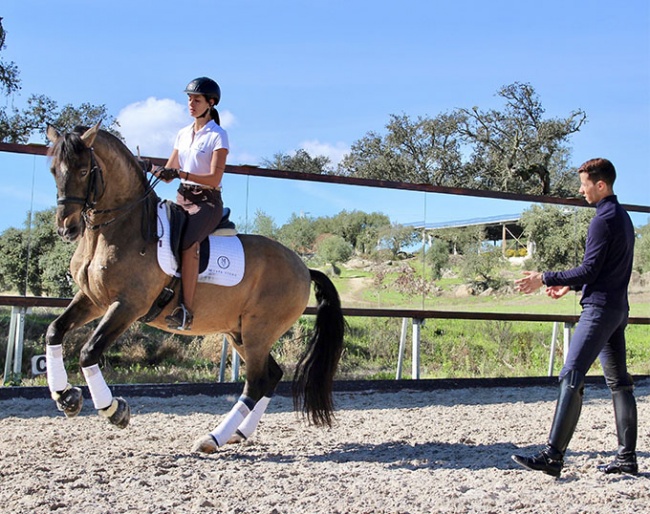 Get lessons from Portuguese Olympian Joao Torrao on advanced level trained Lusitanos at Monte Velho Equo-Resort in Arraiolos, Portugal