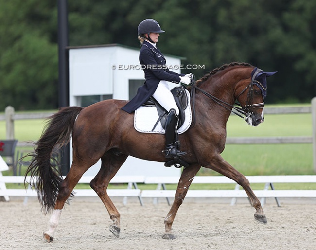 Sofie Soderback and Don Royal at the 2022 CDI Meerle :: Photo © Astrid Appels - No reproduction allowed