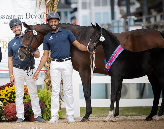 Fidelis QC is the 2023 Devon Breed Show Foal Champion