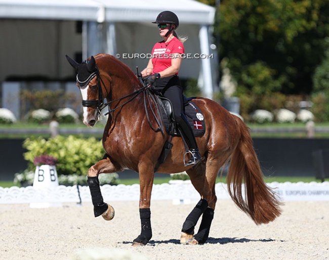 Nanna Skodborg Merrald and Blue Hors Zepter in training at the 2023 European Dressage Championships :: Photo © Astrid Appels