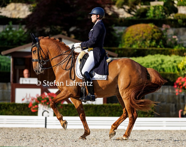 Henri Ruoste and Campari at the 2023 CDI Kronberg :: Photo © Stefan Lafrentz