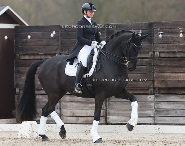 Andrea Timpe and Don Carismo at the 2023 CDI Sint-Truiden :: Photos © Astrid Appels