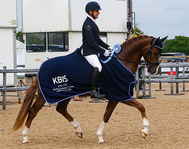 Ashley Jenkins and Game On are the 4-year old winners at the 2023 British Young Horse Championships :: Photos © Kevin Sparrow