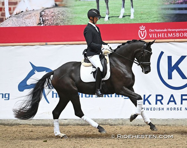 Dennis Kjaer and Polka Perfection M at the 2023 Danish Warmblood Elite Mare Show :: Photo © Ridehesten