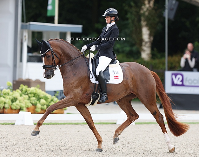 Betina Jaeger and Quinn G win the 2023 World Young Horse Championships for 5-year olds :: Photo © Astrid Appels