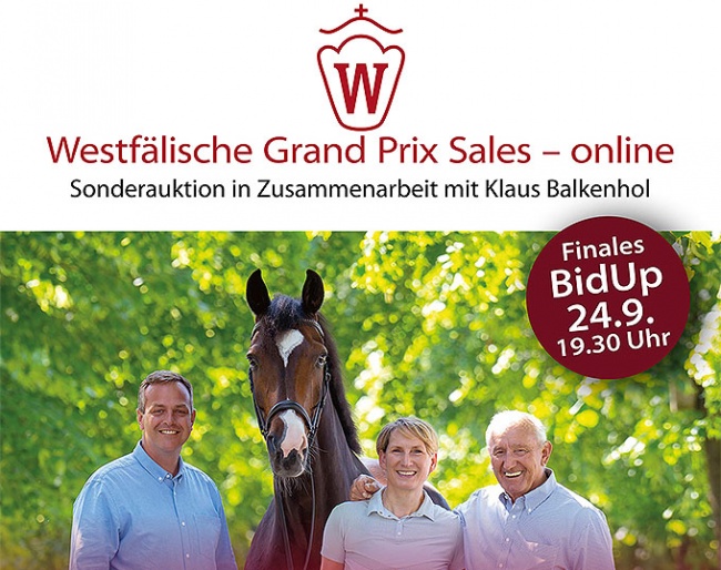 Thomas Munch, Anabel and Klaus Balkenhol team up for this online auction of advanced level horses
