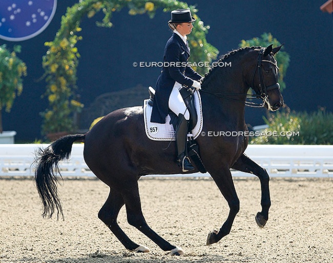 Fabienne Lutkemeier and Sole Mio in the Louisdor Cup qualifier at the 2014 CDI Hagen :: Photo © Astrid Appels